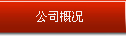 公司概況
